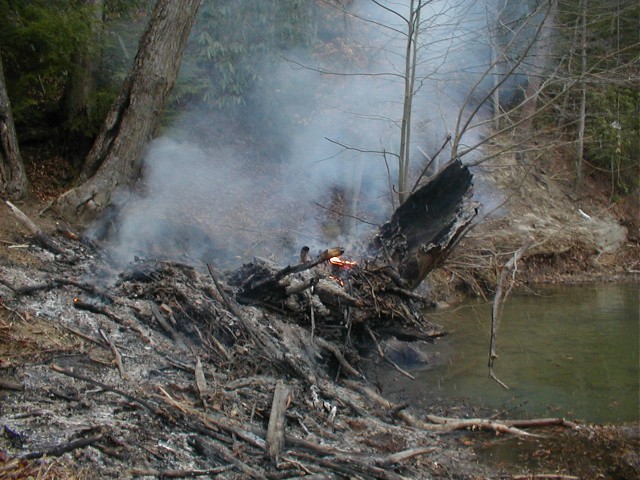 BRUSH FIRE PENTACRE 3/12/09